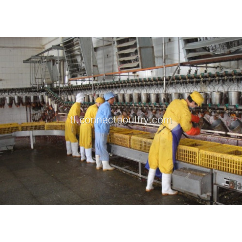 Overhead Conveyor Line ng bird processing line